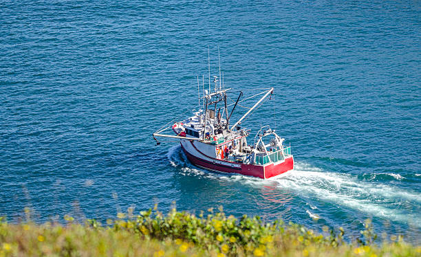 Bright red fishing boat heads out to sea on sunny summer day from St. John's harbor Newfoundland, Canada.